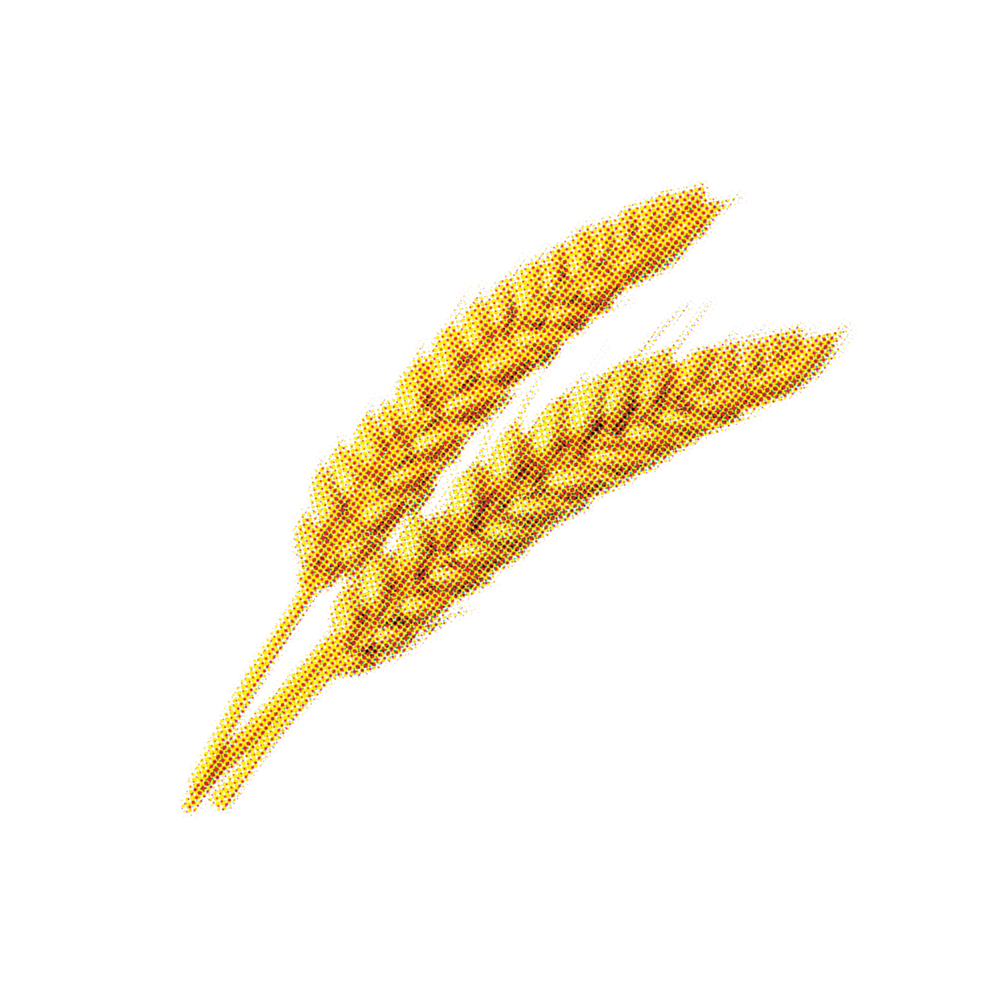 Assam